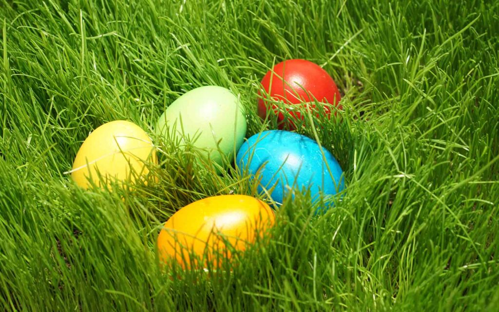 Ostereier im hohen Gras