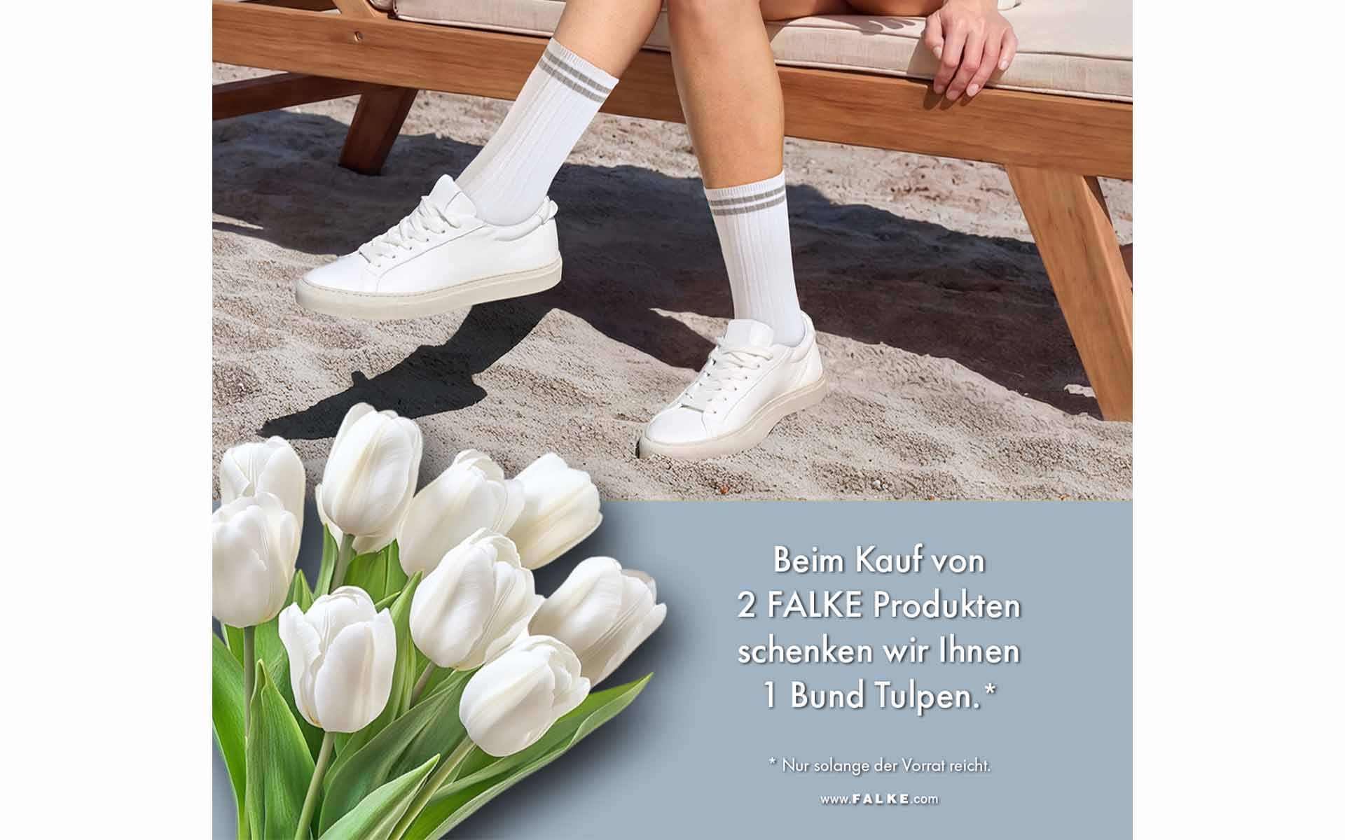 Weiße Tulpen und Damenschuh mit Falke Socke