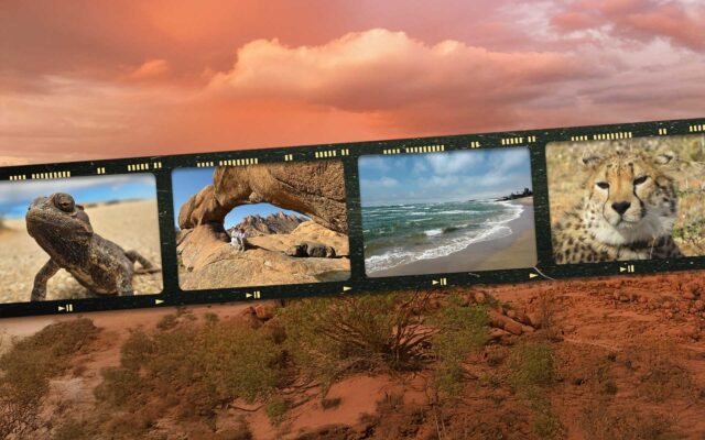 Namibia Gewinnspiel in der dodenhof App