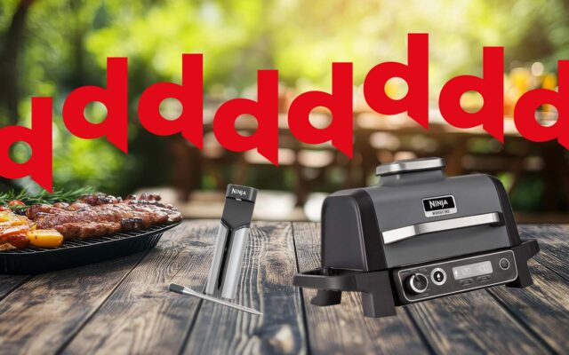 Ninja Grill und Thermometer