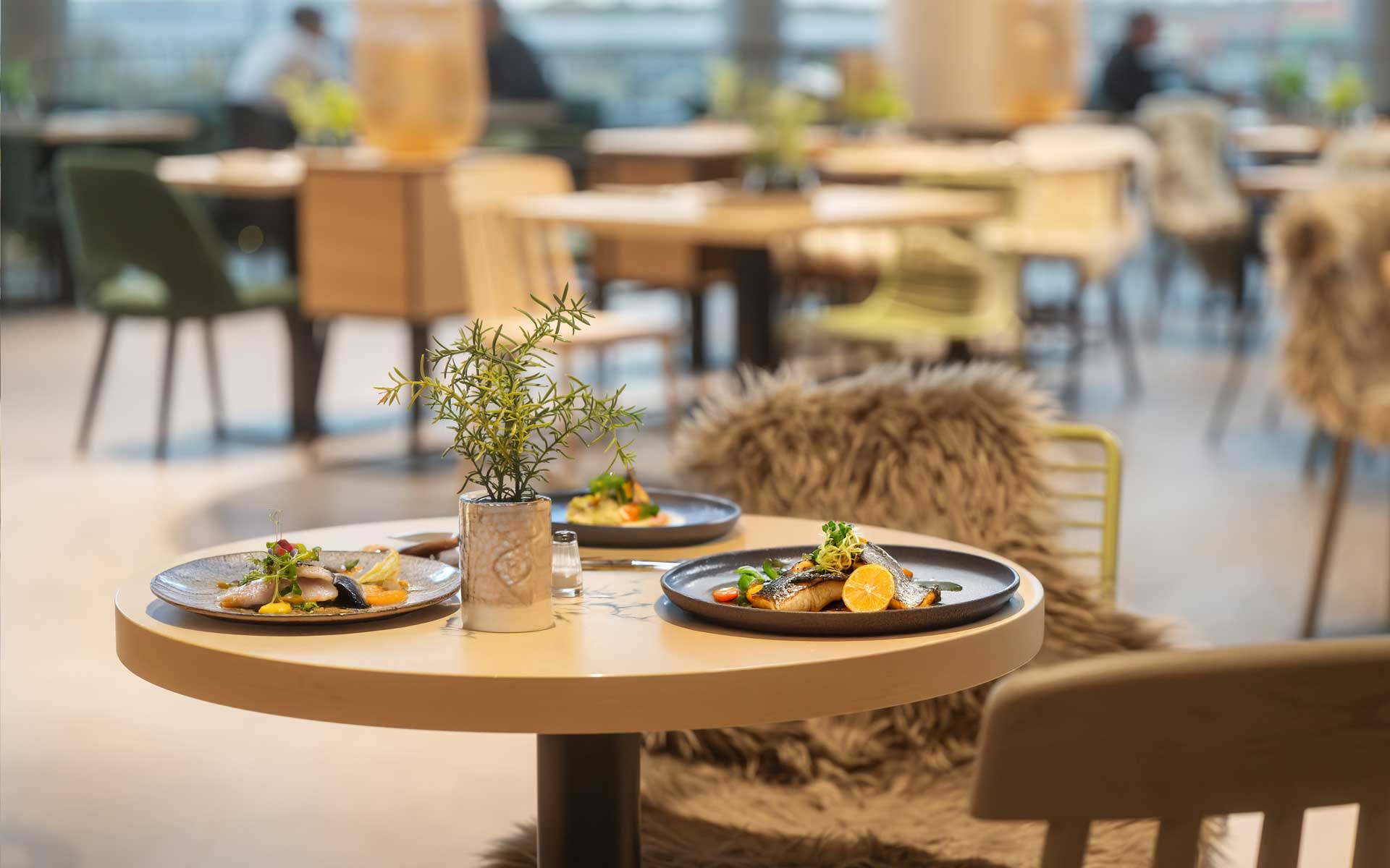 Gedeckter Tisch mit Matjes