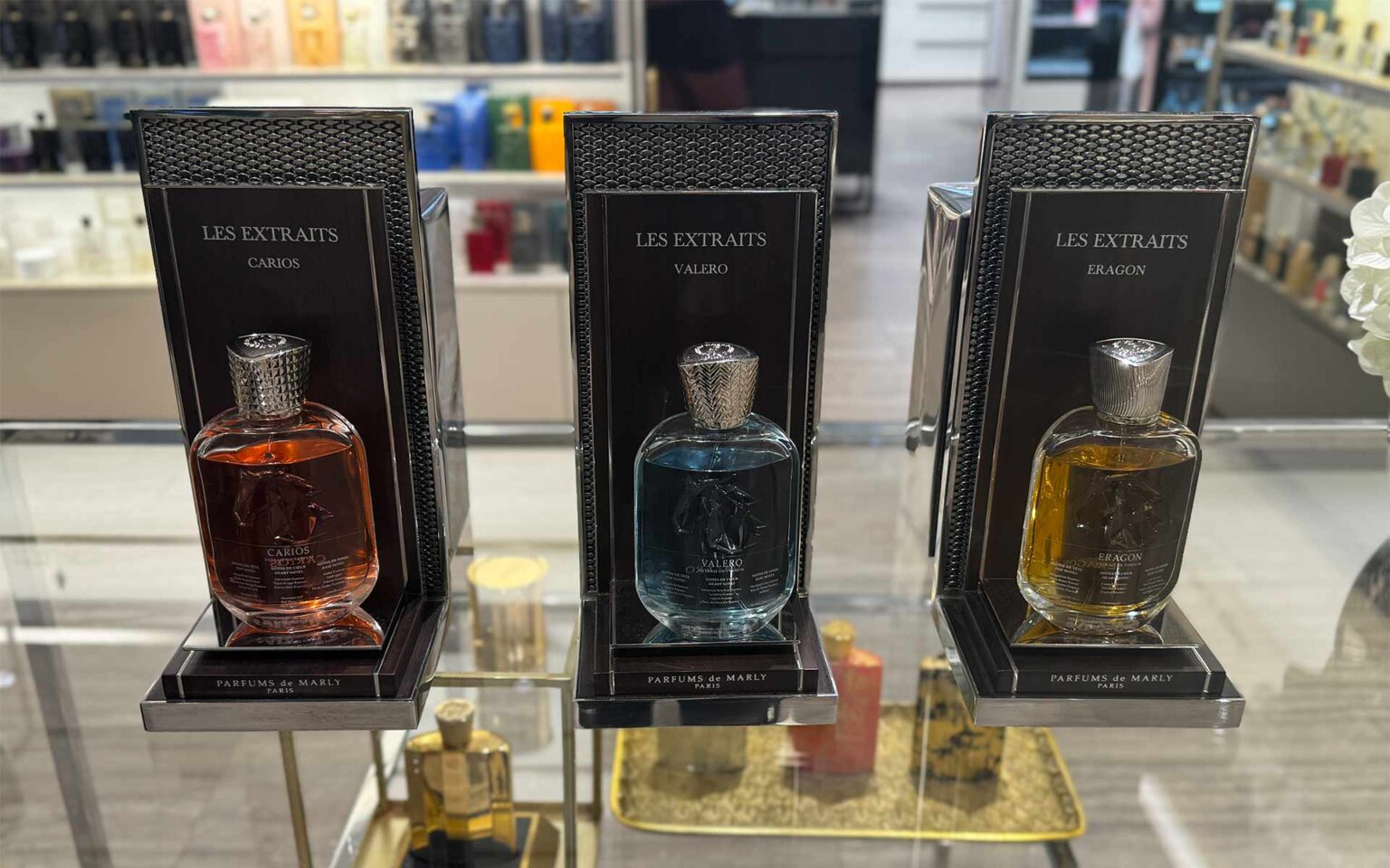 Les Extraits – Carios, Valero und Eragon