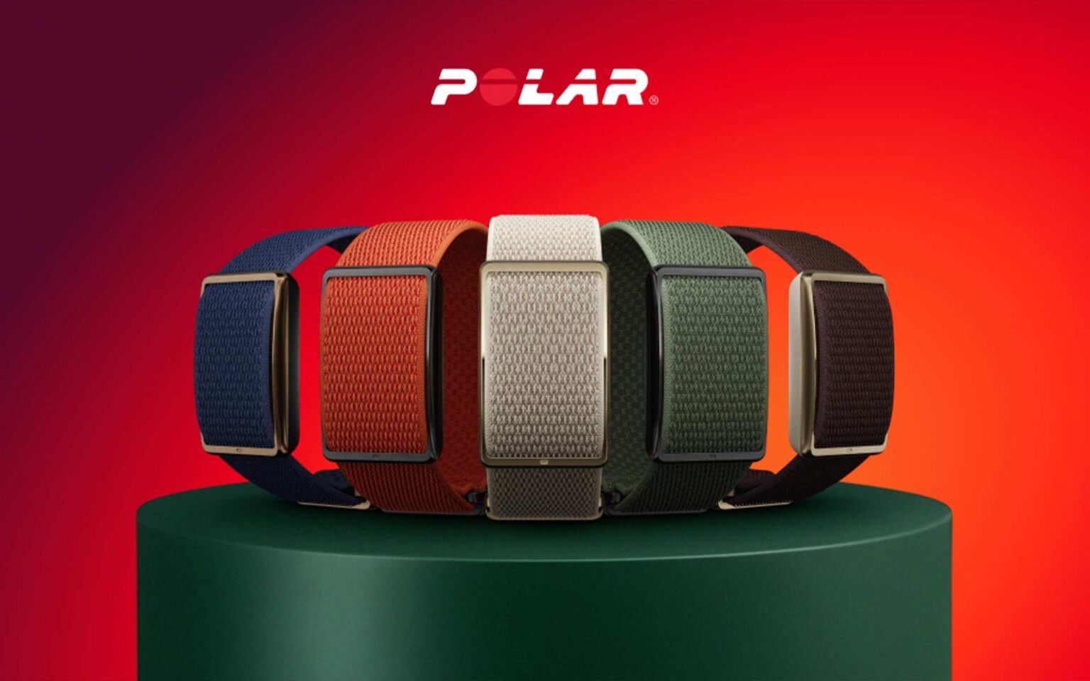 5 Polar Loops in verschiedenen Farben