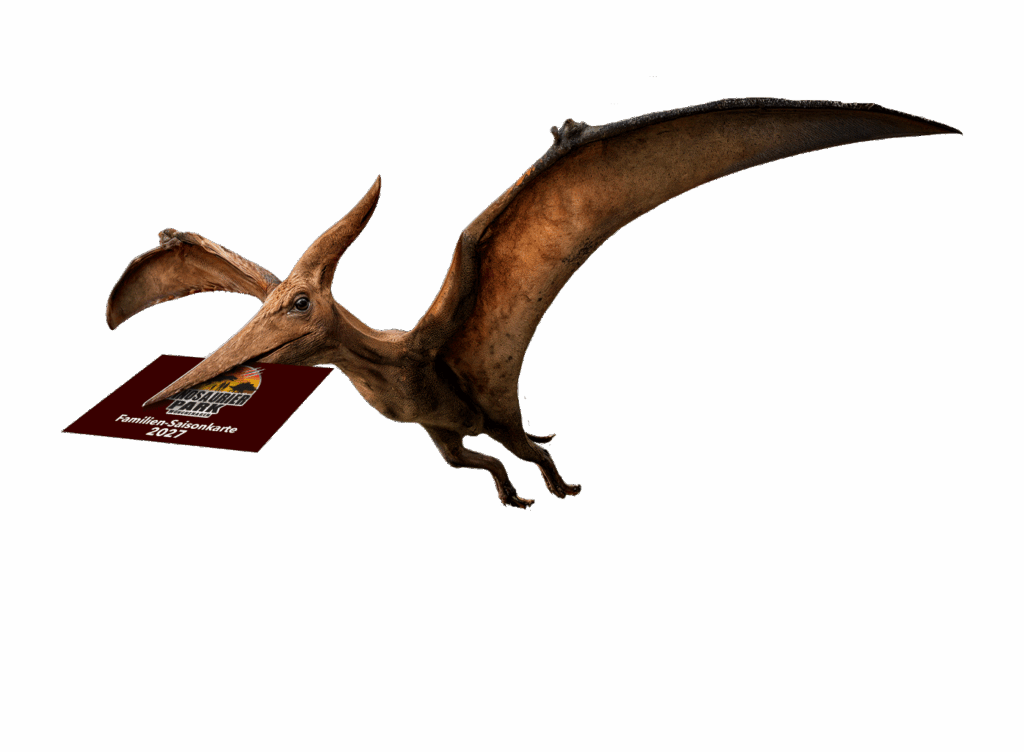 Pterosaurier mit Dinopark Karte