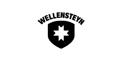 Wellensteyn Logo