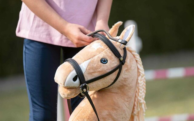 Hobby Horsing in der KinderWelt